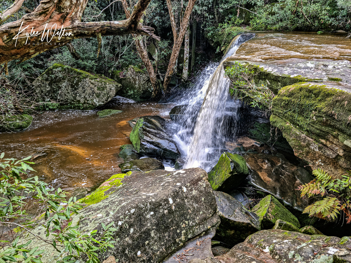 Somersby Falls, Central Coast, Australia, in July 2024. (4)