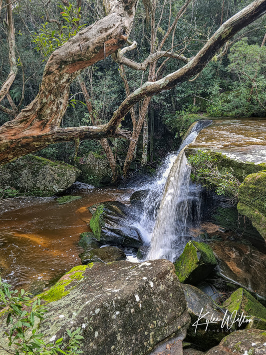 Somersby Falls, Central Coast, Australia, in July 2024. (3)