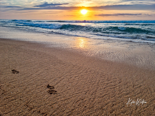 Avoca Beach, Central Coast, Australia, on 24 September 2024.